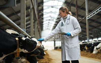 葛兰纳诺与xFarm科技公司携手开创乳业新未来